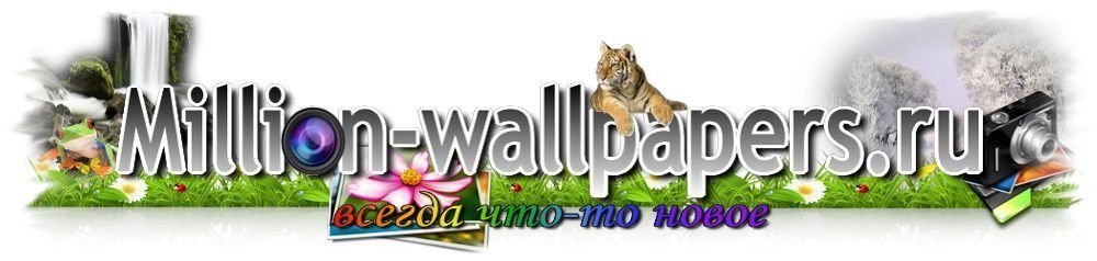 适用于笔记本电脑和智能手机的高清壁纸 million-wallpapers.ru