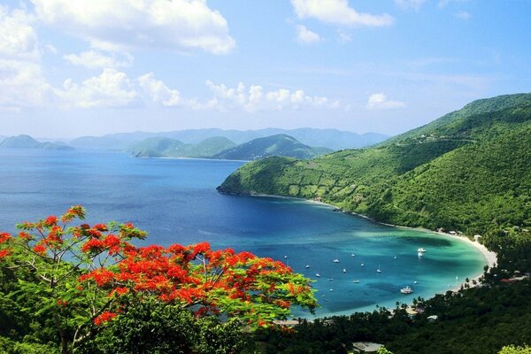 美丽风景的热带岛屿