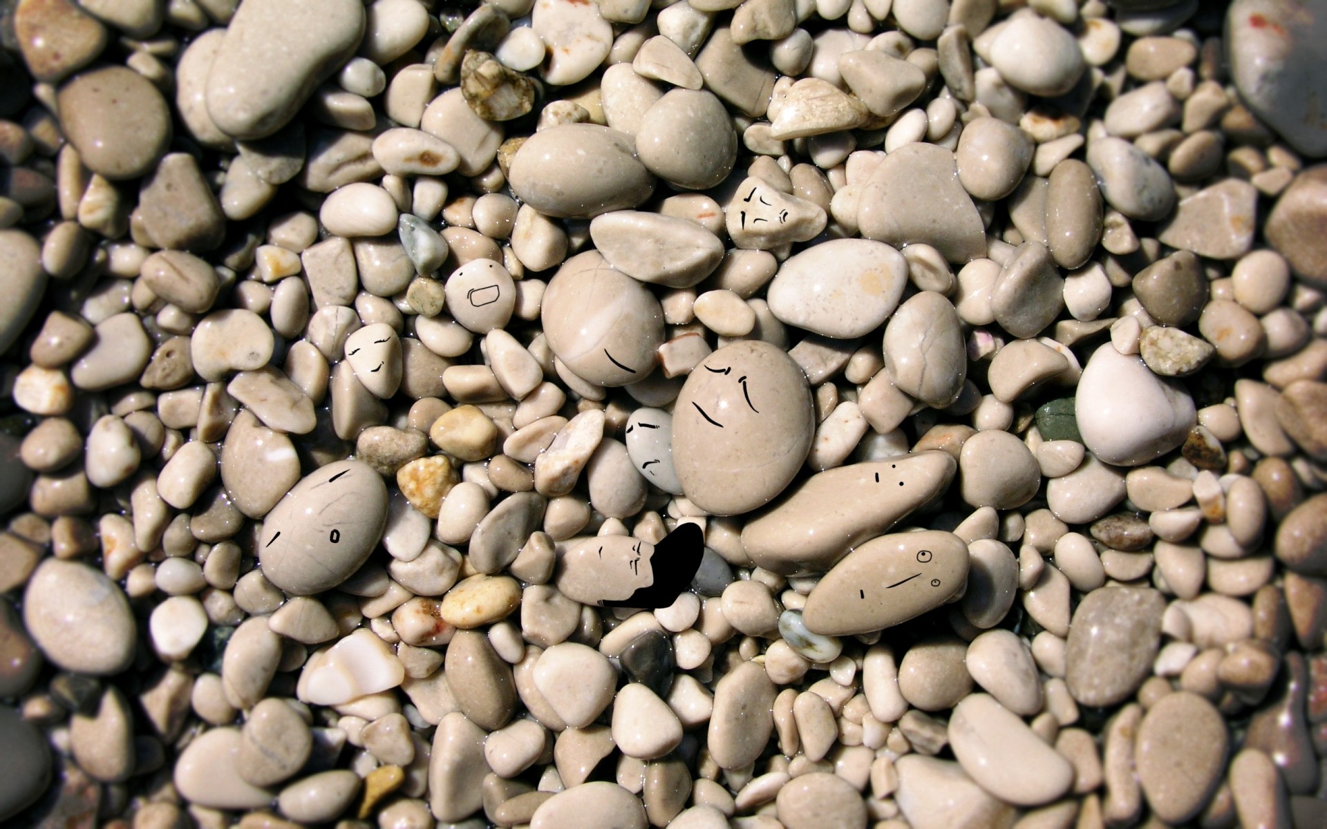 纹理 豆类 岩石 桌面 派对 特写 石头 舌头 许多 干燥 砾石 种子 光滑 谷物 咖啡 抽象 鹅卵石 食物 收获 禅 石头 石头