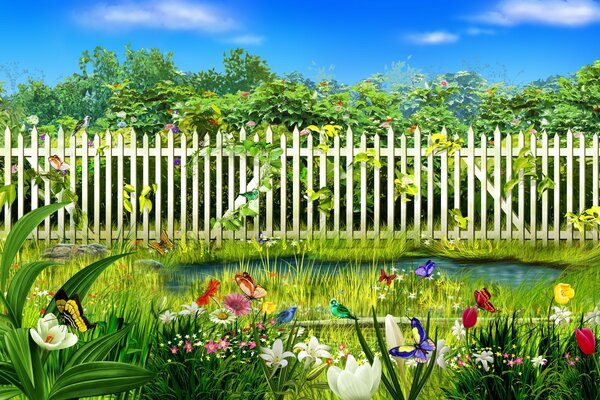 花园附近篱笆后面的花园