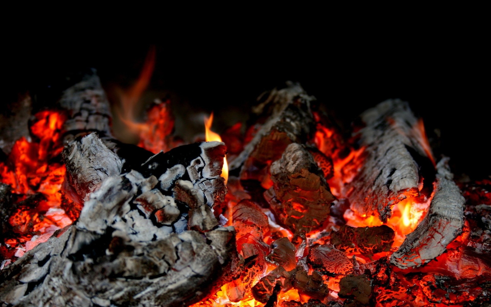 火焰 篝火 篝火 壁炉 煤 木柴 煤 灰 烧 热 地狱 大火 危险 热 营 燃料 易燃 烟 烧 火 背景