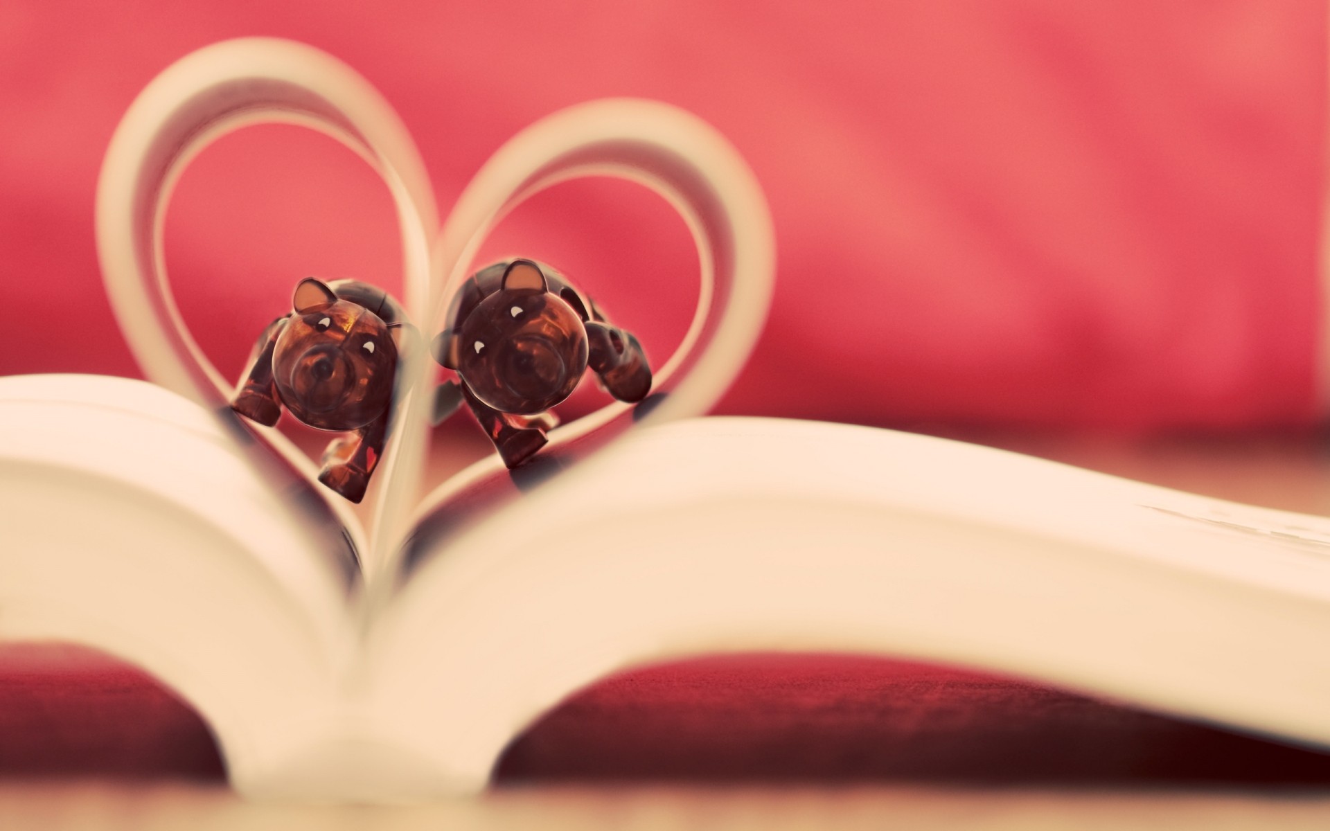 爱情 婚礼 花 浪漫 玫瑰 静物 饮料 心