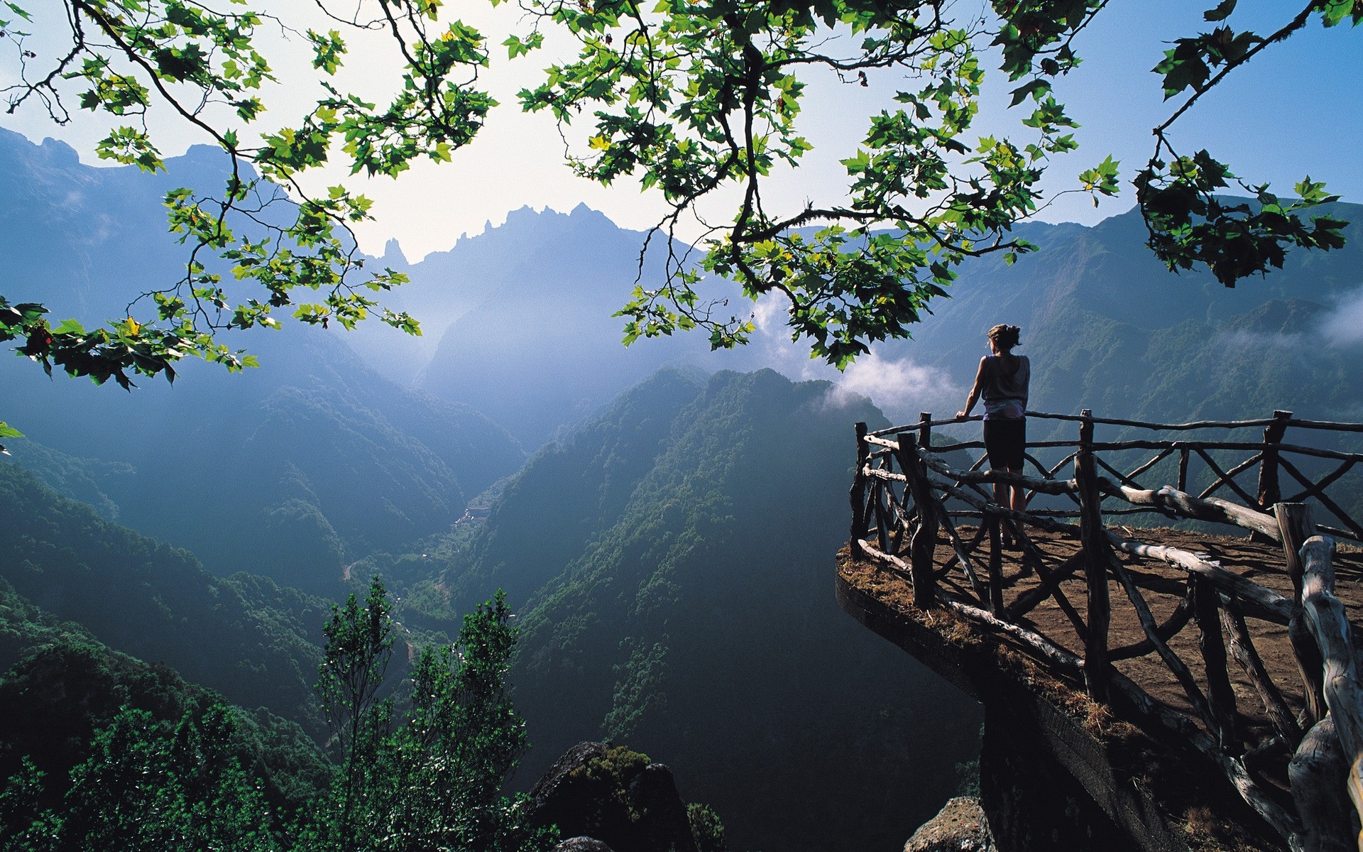 景观 水 旅游 木材 景观 自然 树 山 户外 河 湖 天空 背景 森林