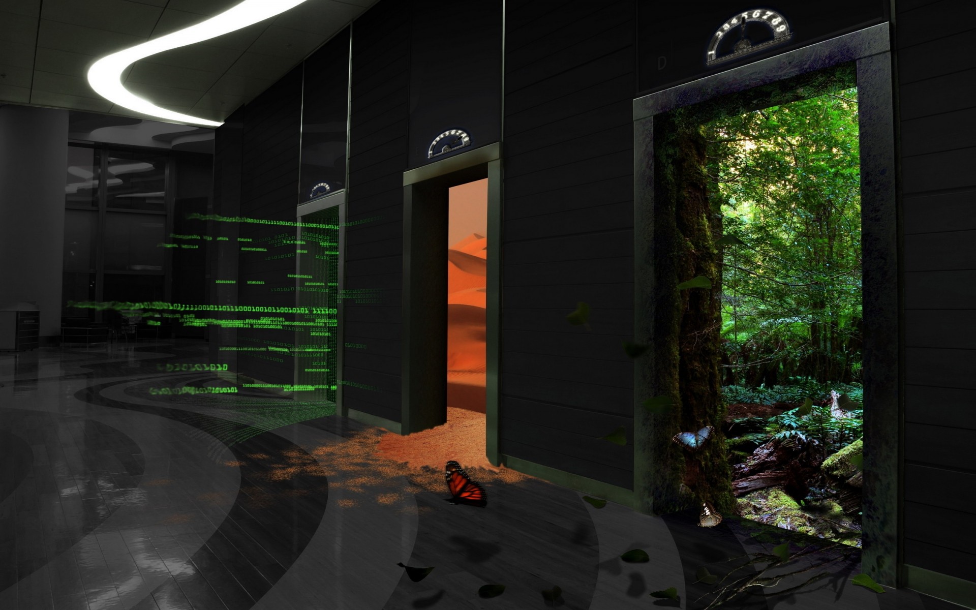 光 景观 家 旅游 自然 艺术 技术 蝴蝶 背景