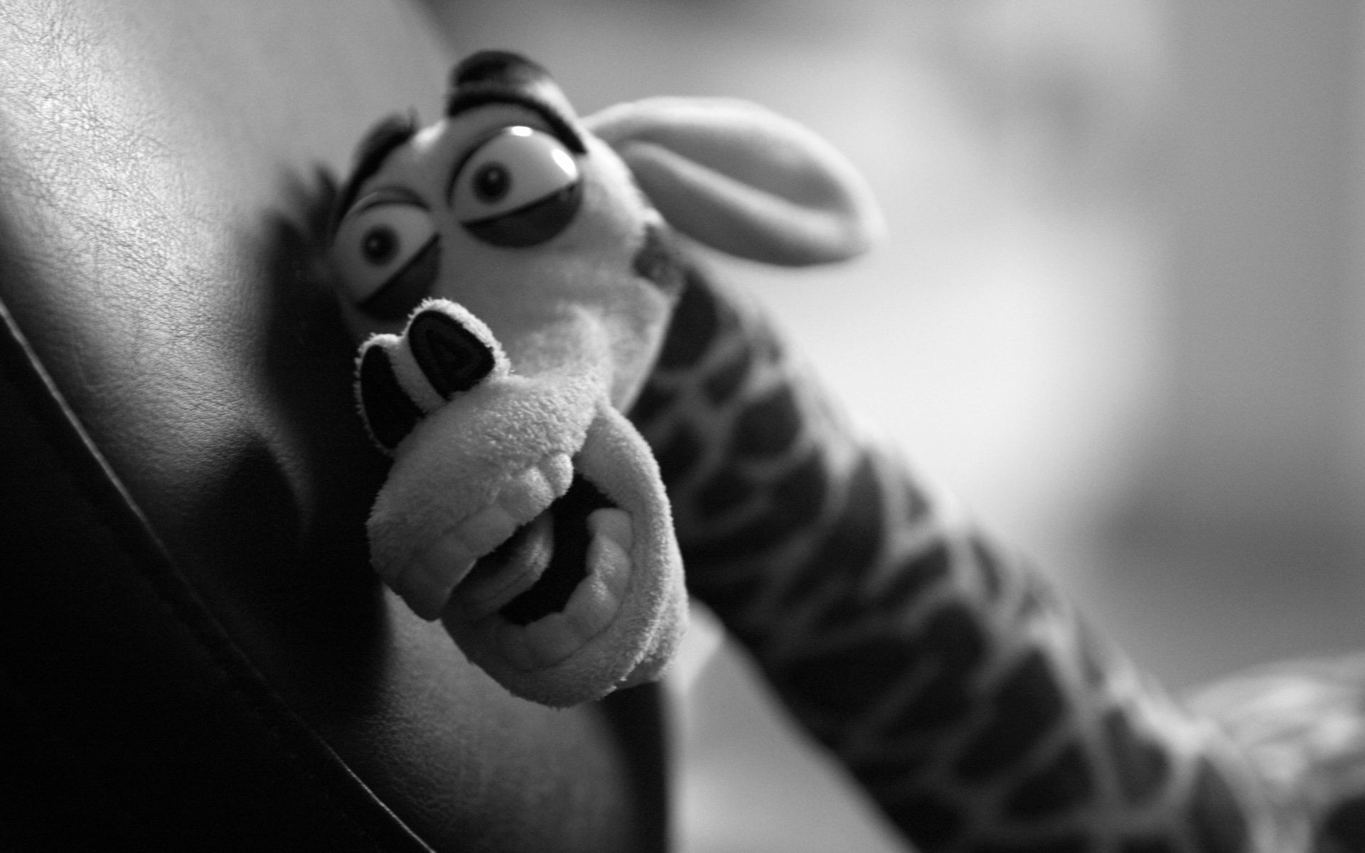 单色 男人 肖像 成人 一个 女孩 黑色和白色 女人 腿 自由度 裸体 手