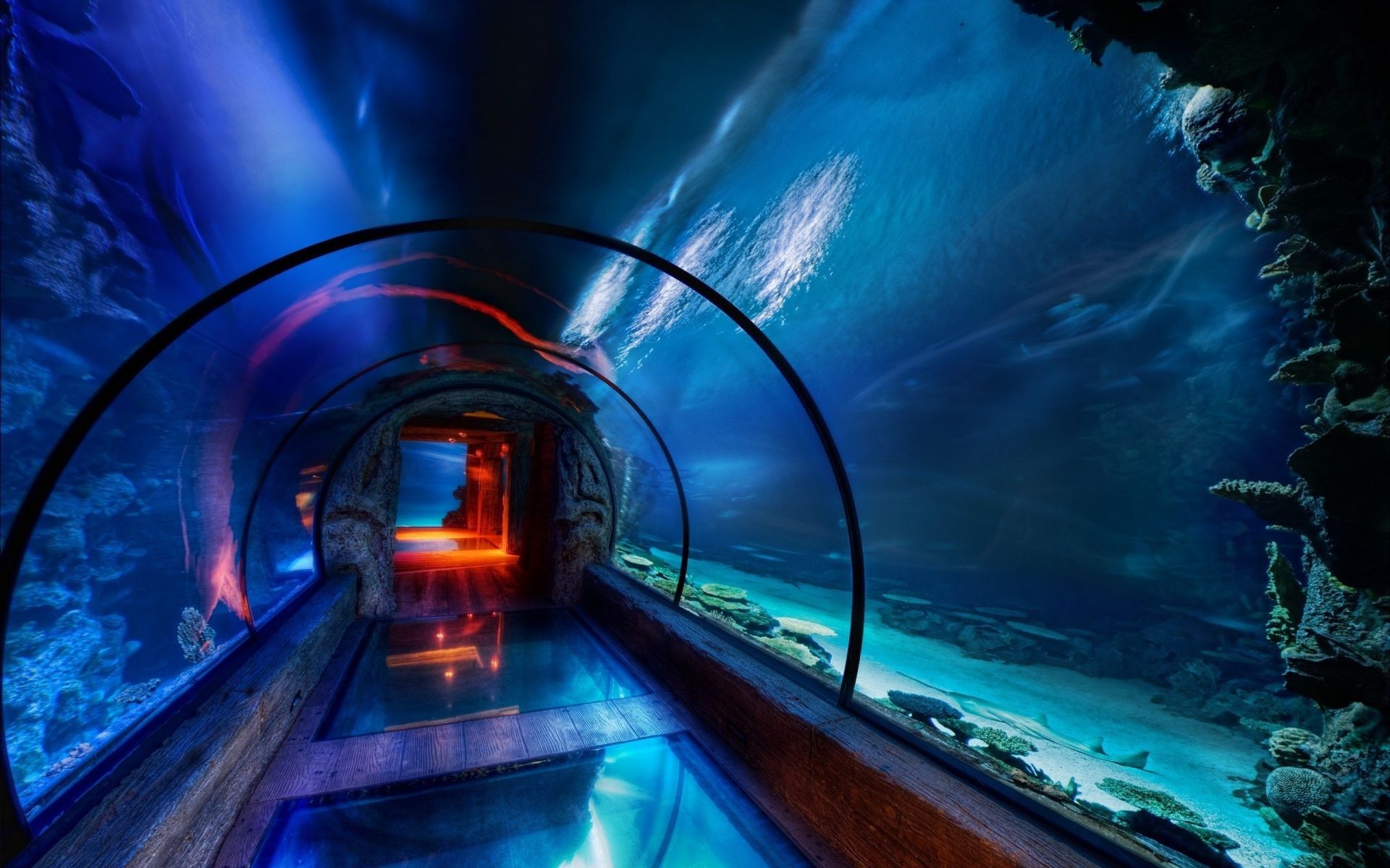 隧道 光 模糊 旅行 运输系统 交通 晚上 交通堵塞