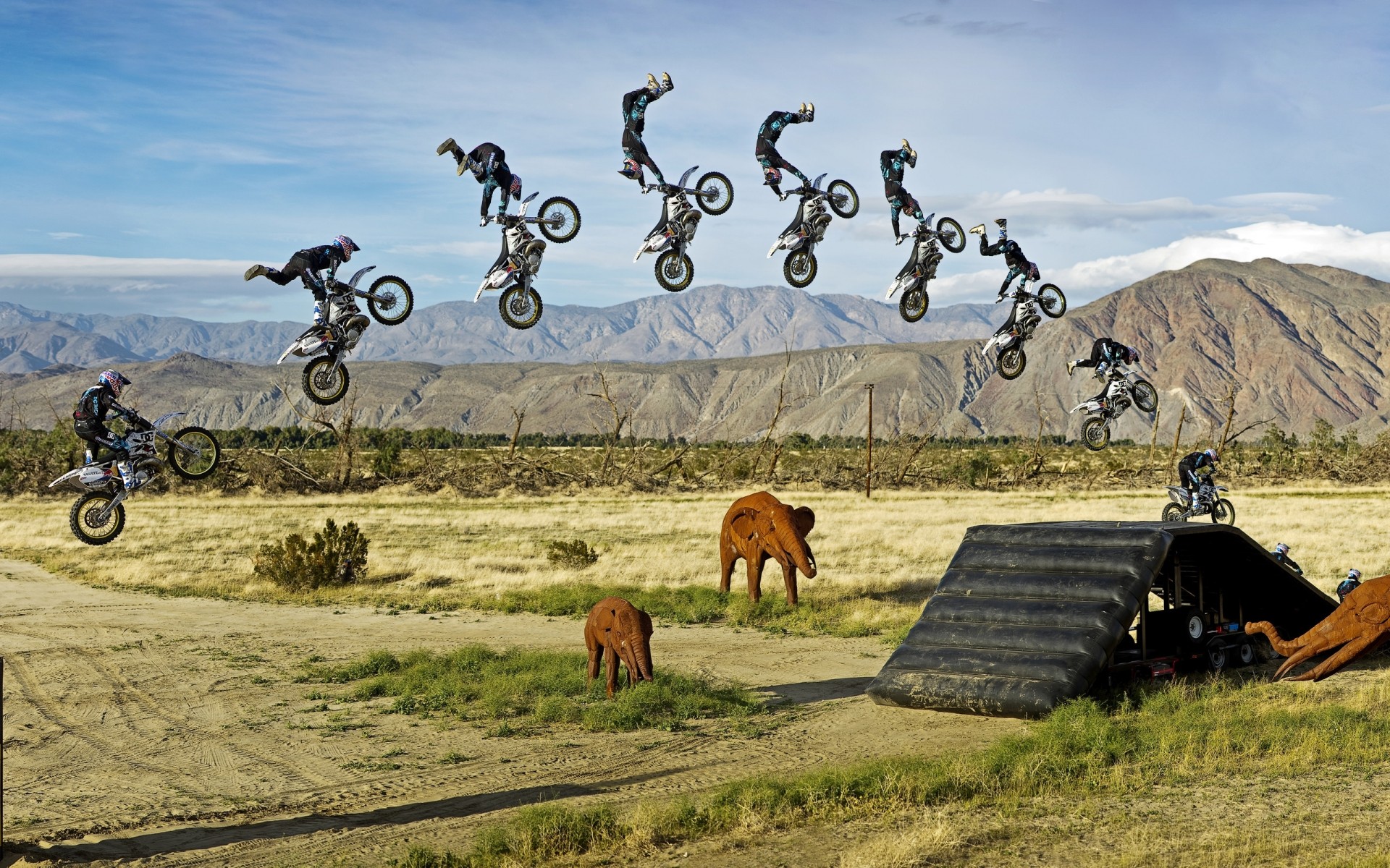 运动 草 自然 景观 户外 天空 夏天 旅游 领域 农村 农村 丛林 大象 玩具 雕像 摩托车