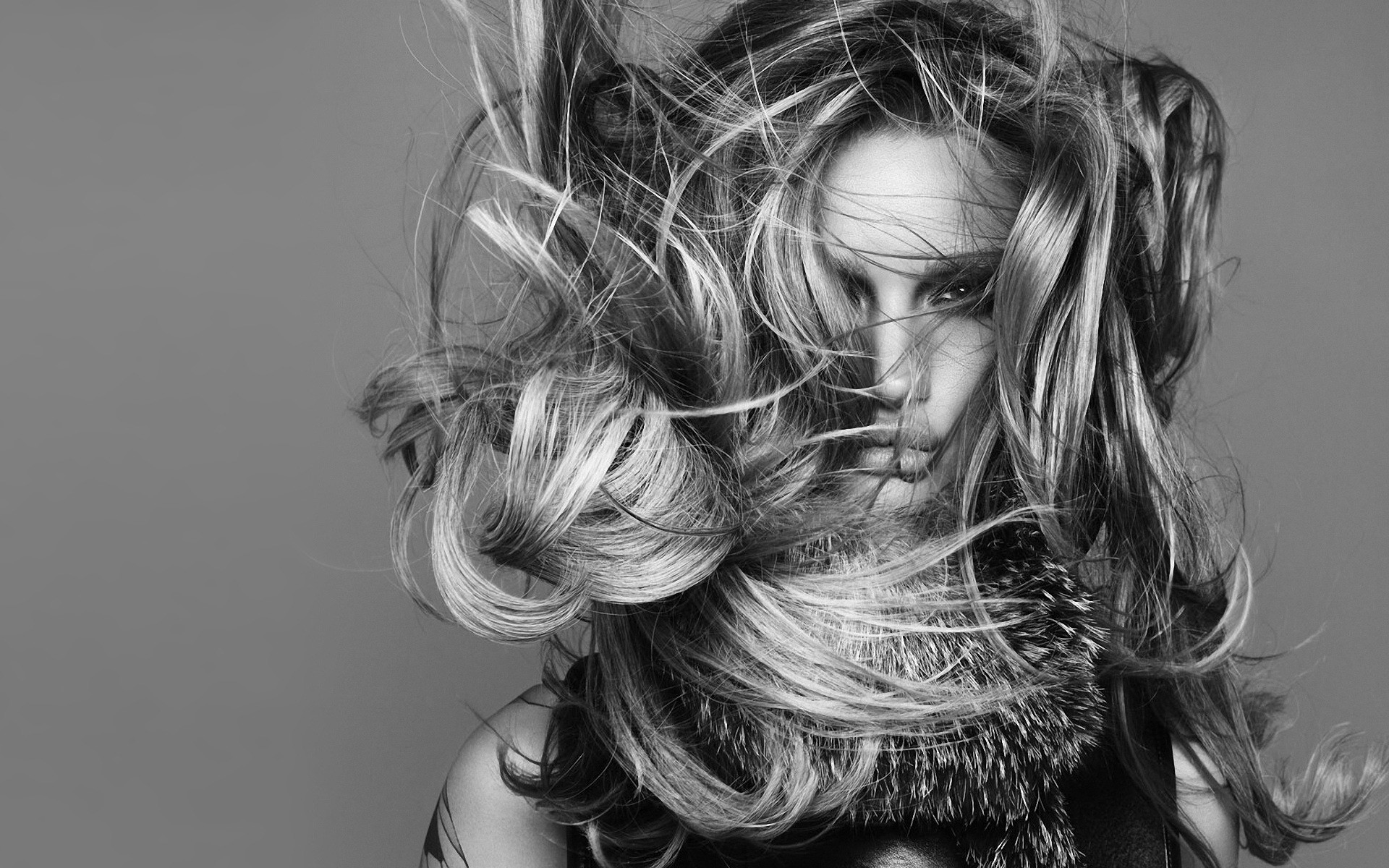 肖像 单色 女孩 模型 时尚 头发 女人 美丽 成人 发型 风 魅力 性感 脸 一 工作室 风格