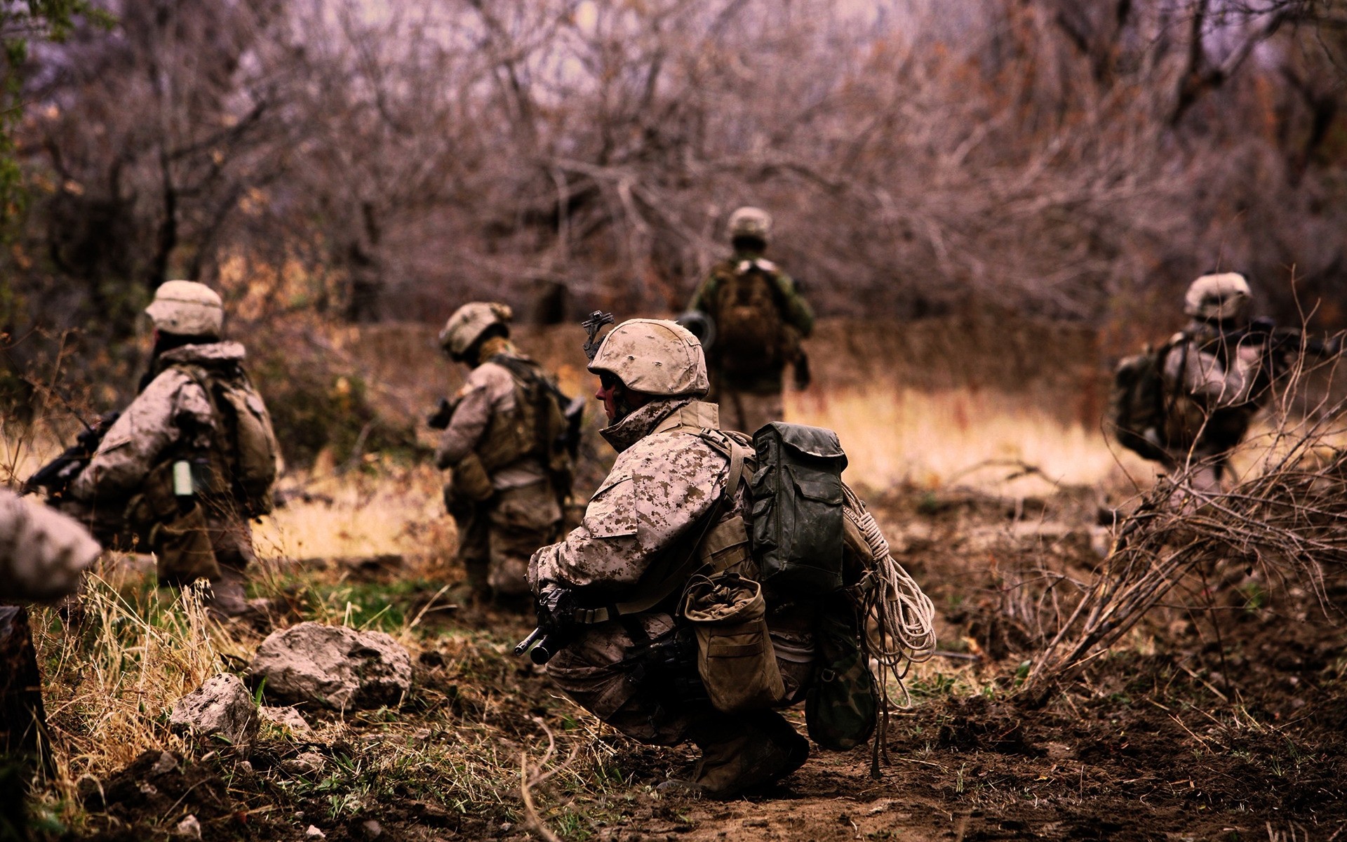 士兵 军队 军事 战争 战斗 武器 手枪 战斗 步枪 弹药 伪装 木材 木材 成人 猎人 男人 士兵