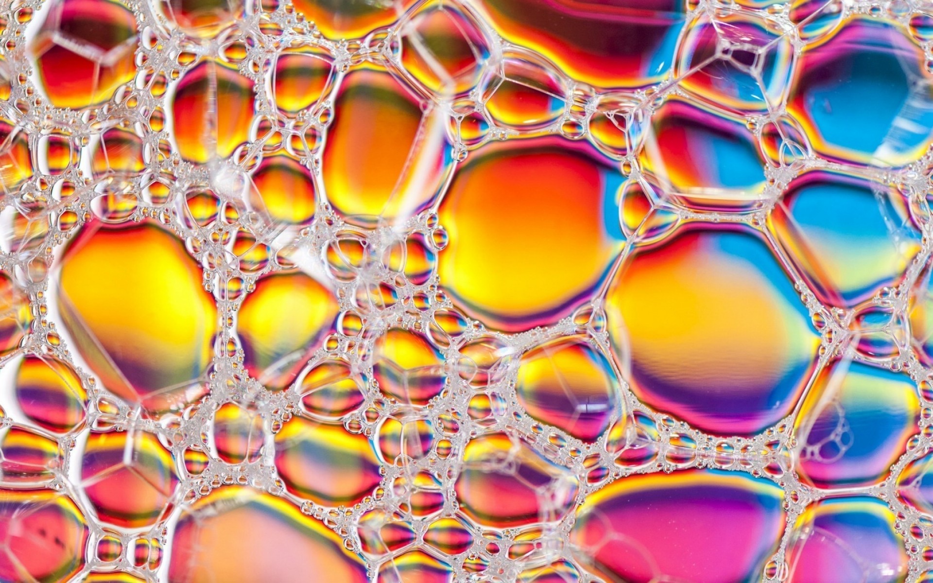 抽象 模板 纹理 手机 桌面 设计 装饰 壁纸 艺术 颜色 形状 微生物学 几何 背景 明亮 化学 生物学 插图 科学 颗粒 泡沫 气泡