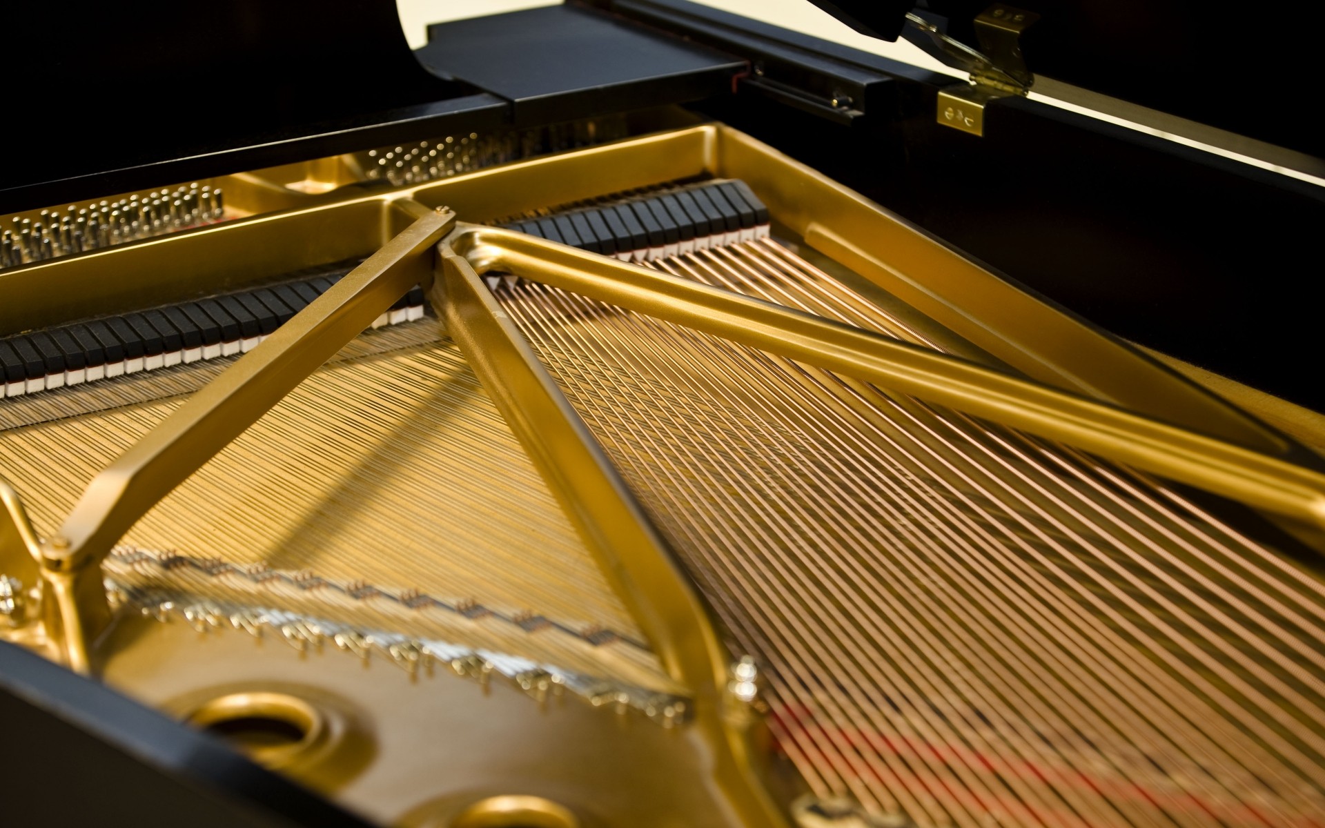 音乐 乐器 声音 技术 设备 商业 室内 钢琴