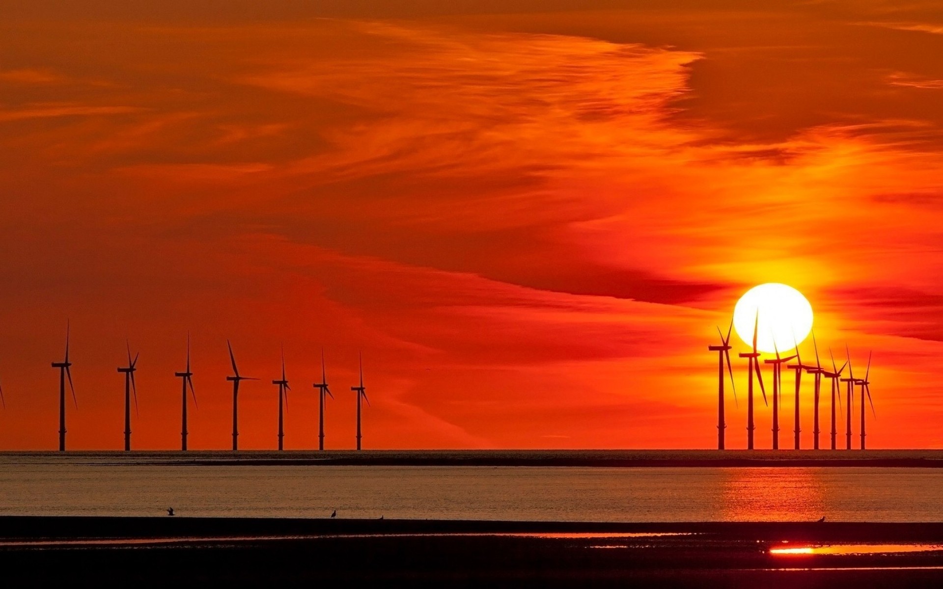 日落 黎明 太阳 天空 黄昏 剪影 晚上 水 海 自然 海洋 力量 风 夜