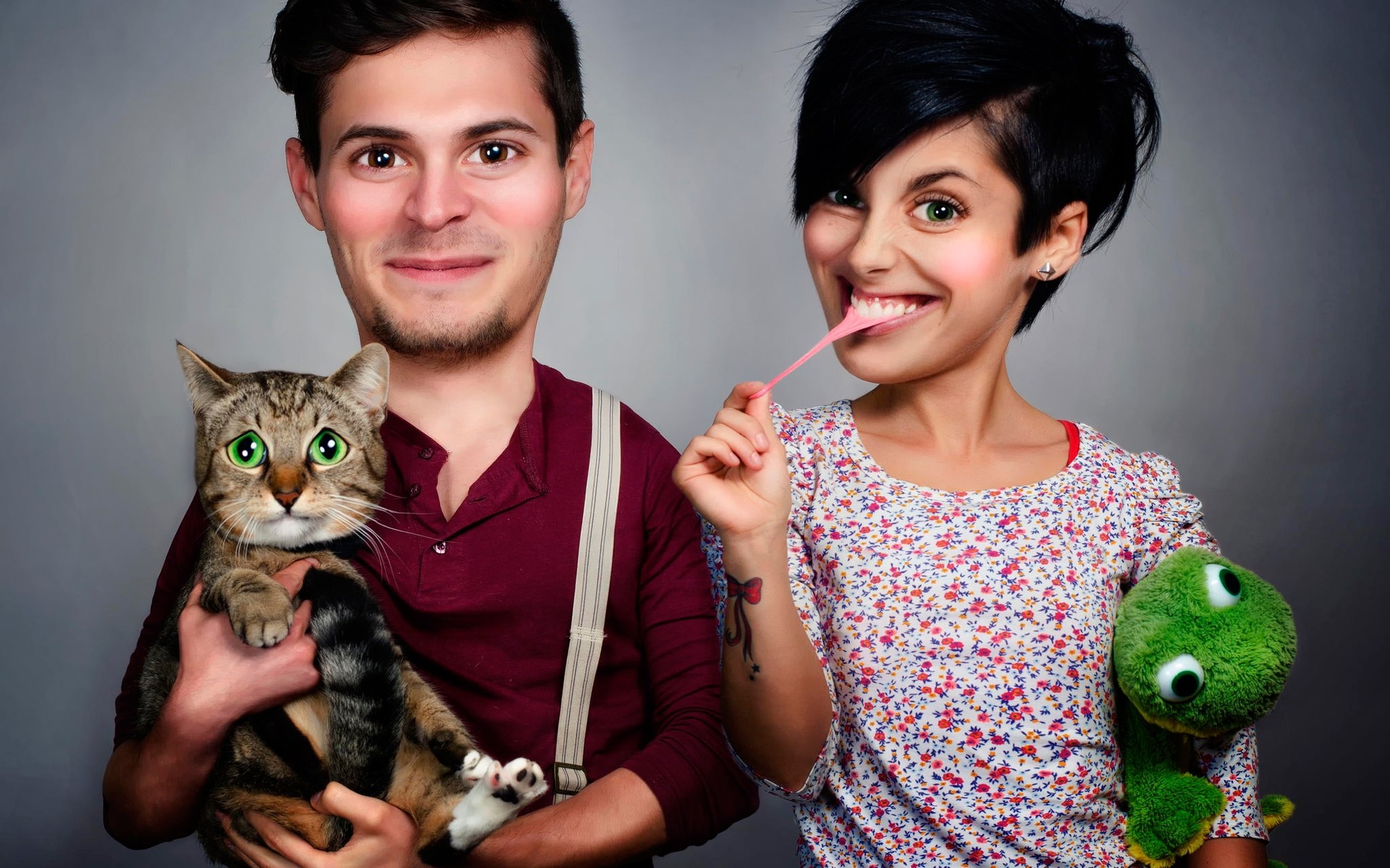 肖像 女人 可爱 年轻 爱 漂亮 女孩 美丽 成人 一 乐趣 工作室 有趣 有趣的照片 有趣的家庭 猫