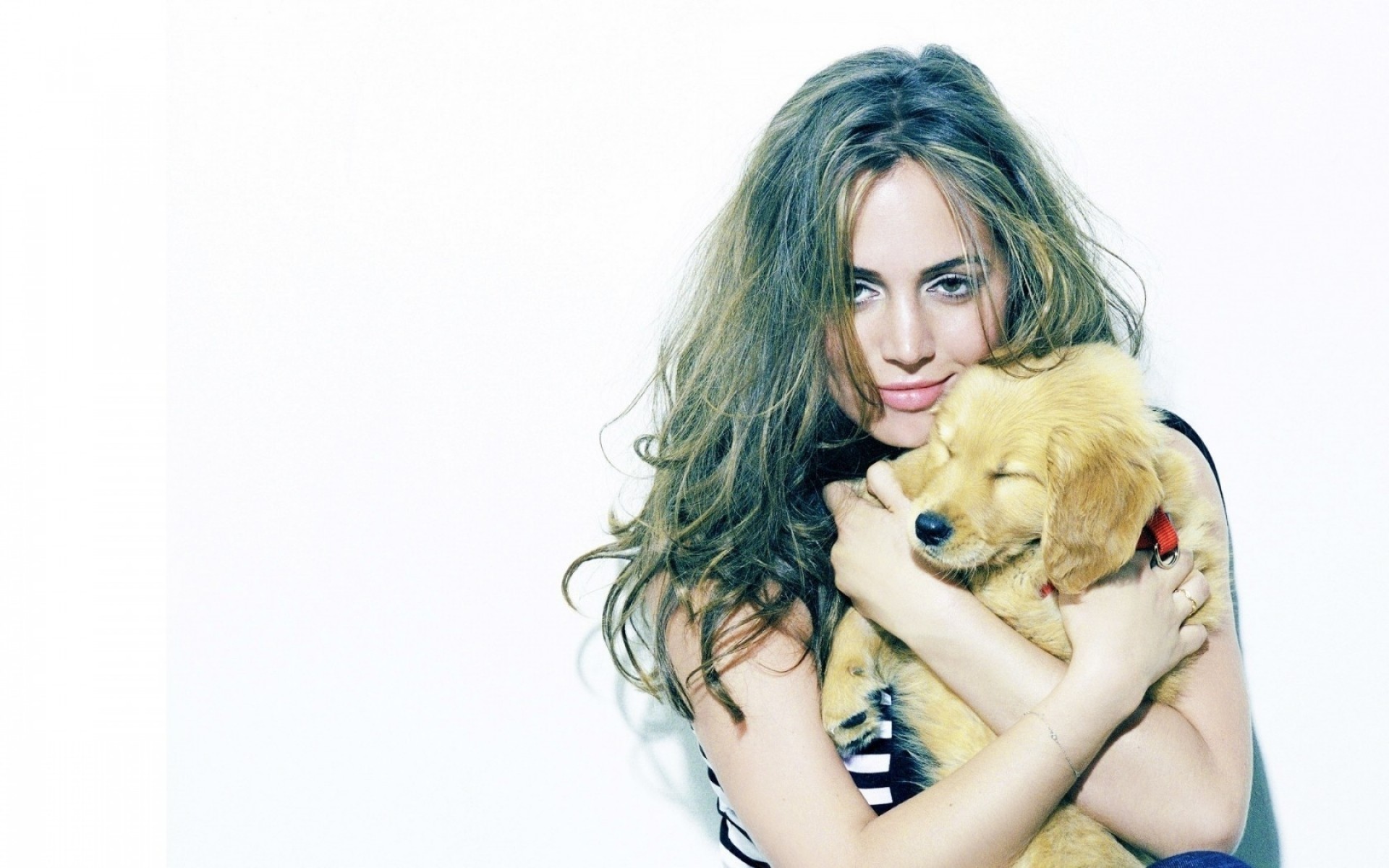 女孩 美丽 年轻 女人 肖像 可爱 工作室 时尚 桌面 模型 漂亮 头发 性感 有吸引力 孤立 魅力 卷曲 小狗 女演员