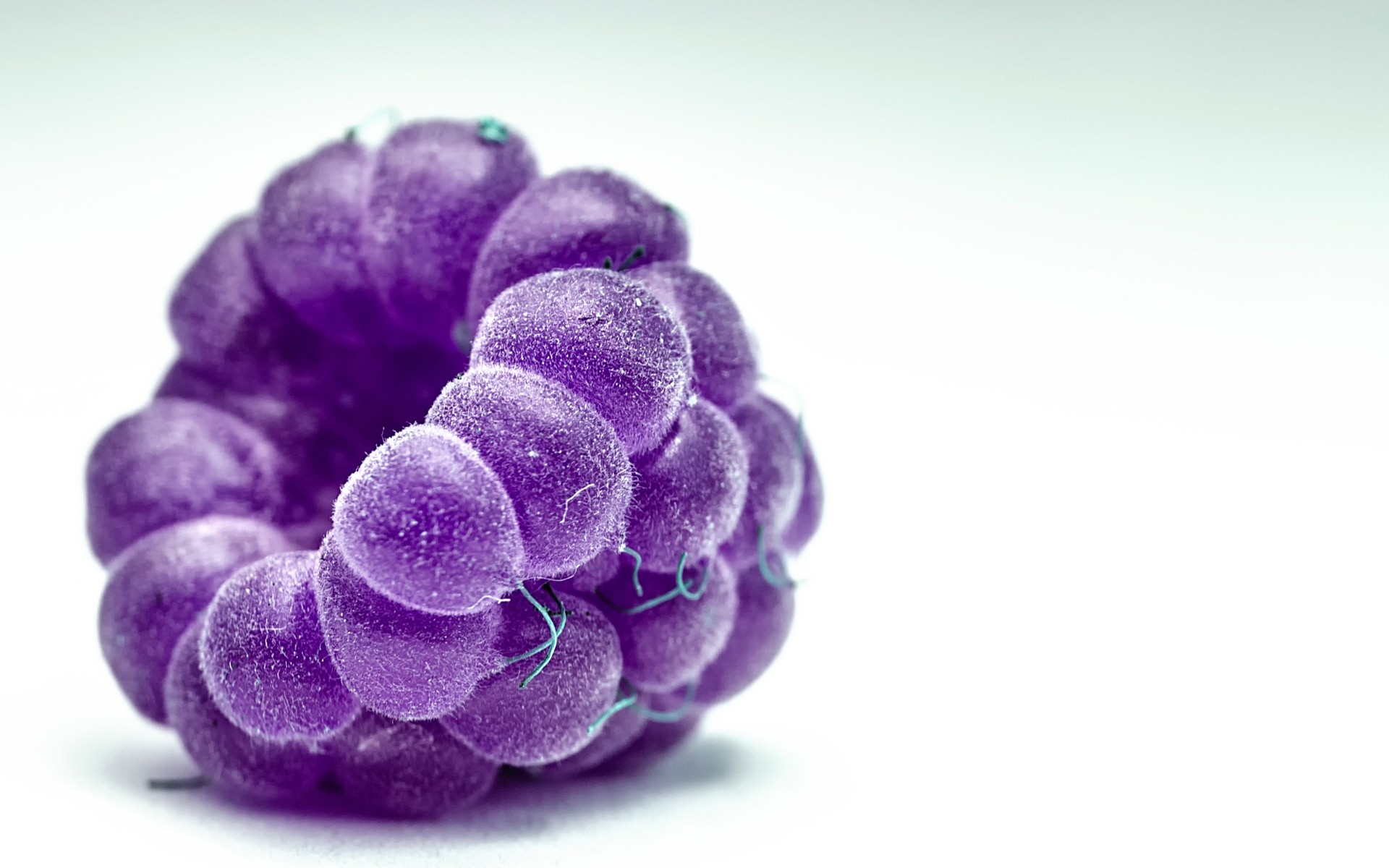 自然 桌面 特写 颜色 植物群 孤立 复盆子 宏 水果 浆果