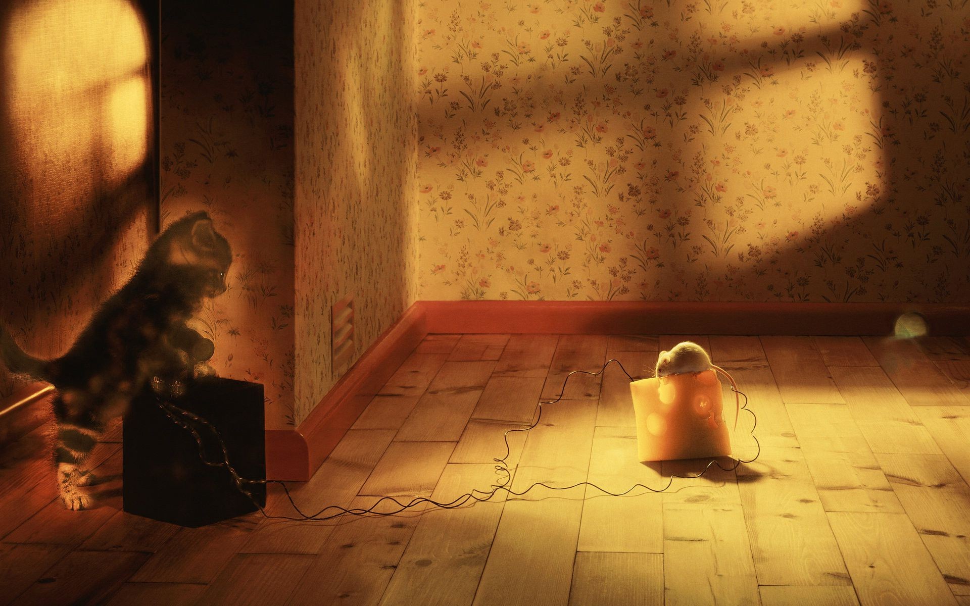 单 室内 房间 成人 光 女孩 肖像 裸体 女人 磨损 墙