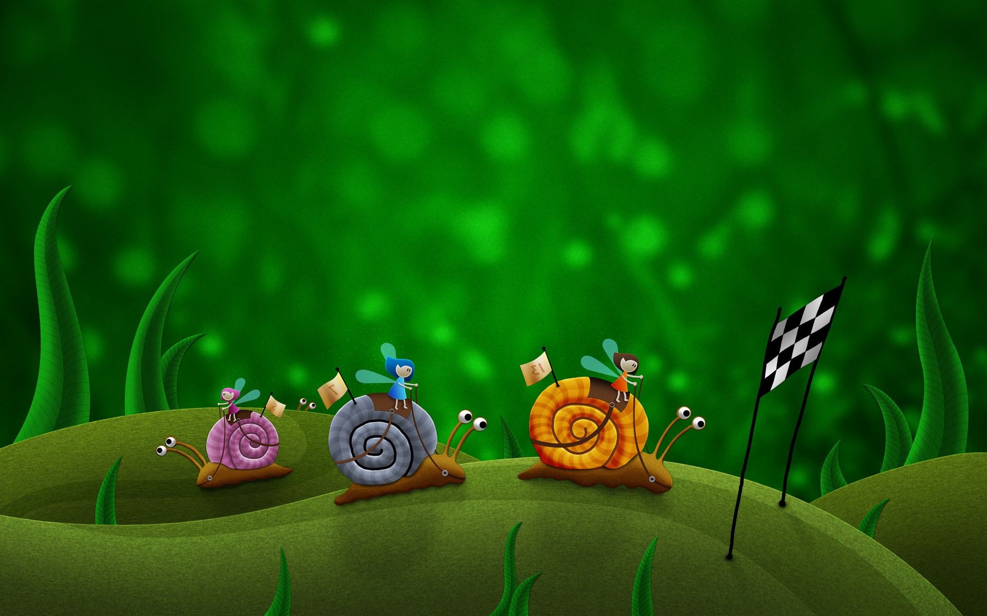 桌面 颜色 花 自然 草 叶