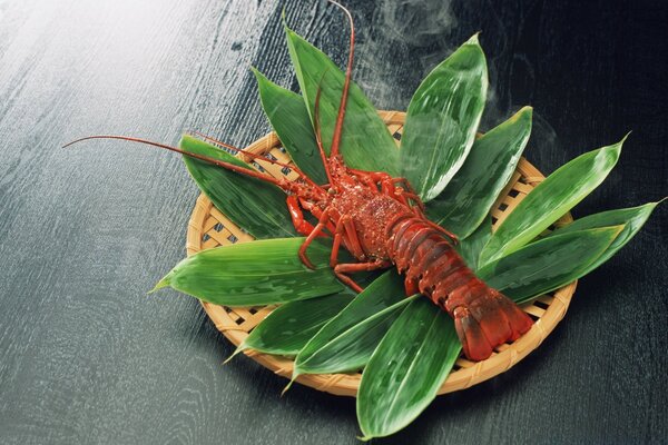 香蕉叶盘子上的癌症