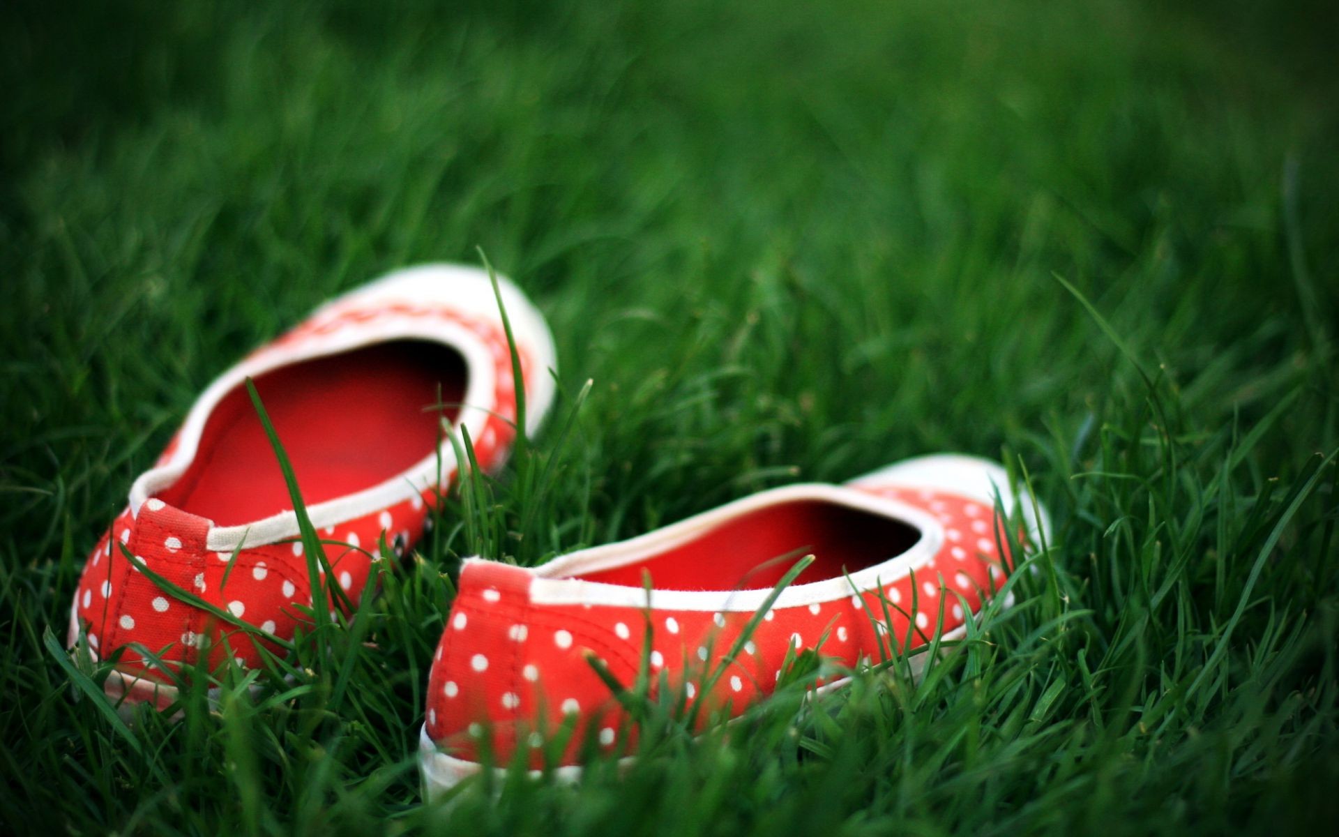 草 夏天 田野 皮革 颜色 草坪 娱乐 鞋子 户外 两个 干草 夫妇 自然 特写