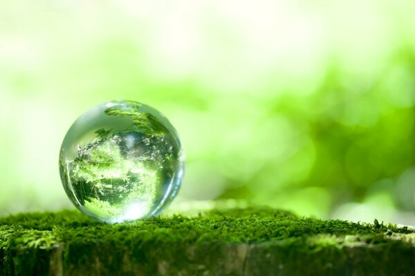 一滴水。 行星形式的水滴