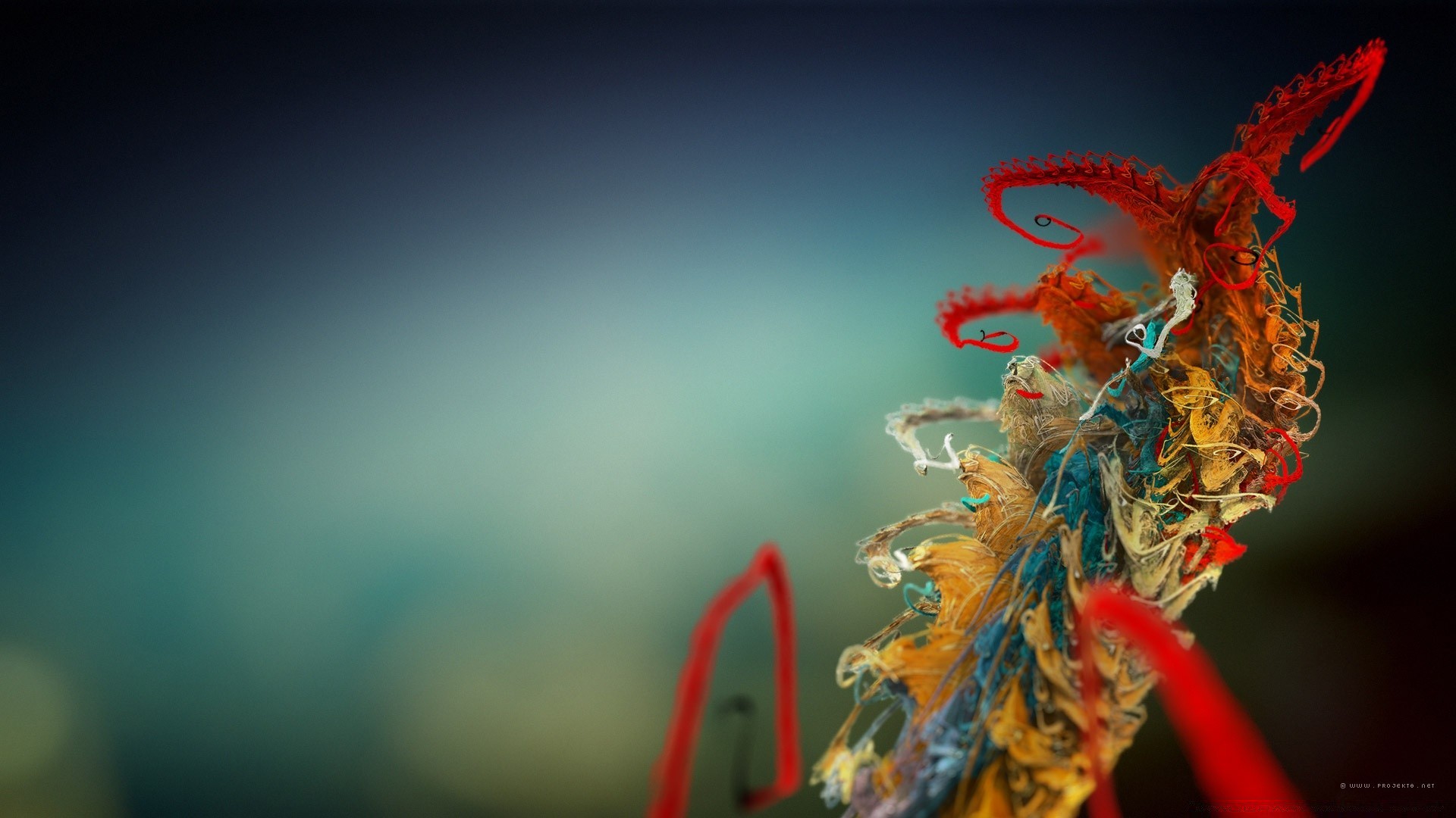 植物 自然 花 模糊 光