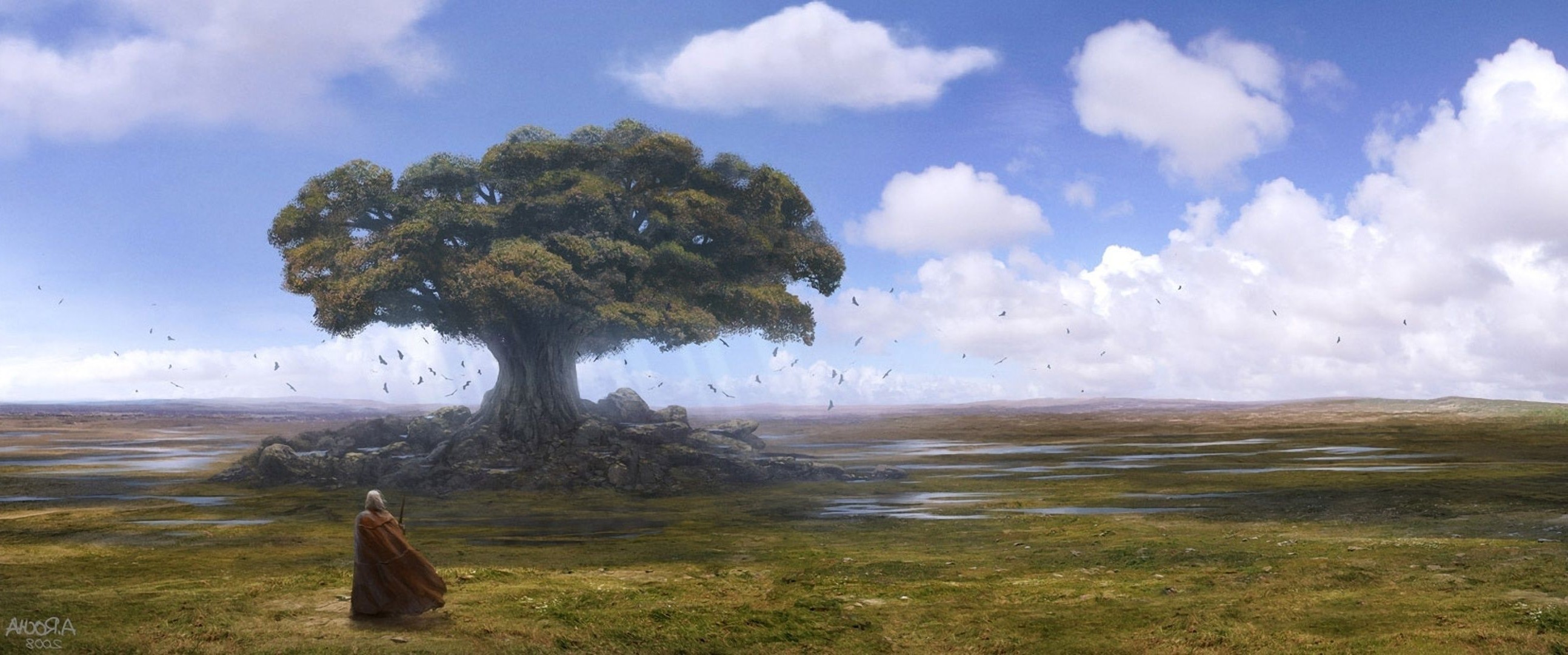 战争 景观 树 水 旅行 户外 天空 草 自然 日落 黎明 雾 日光 湖