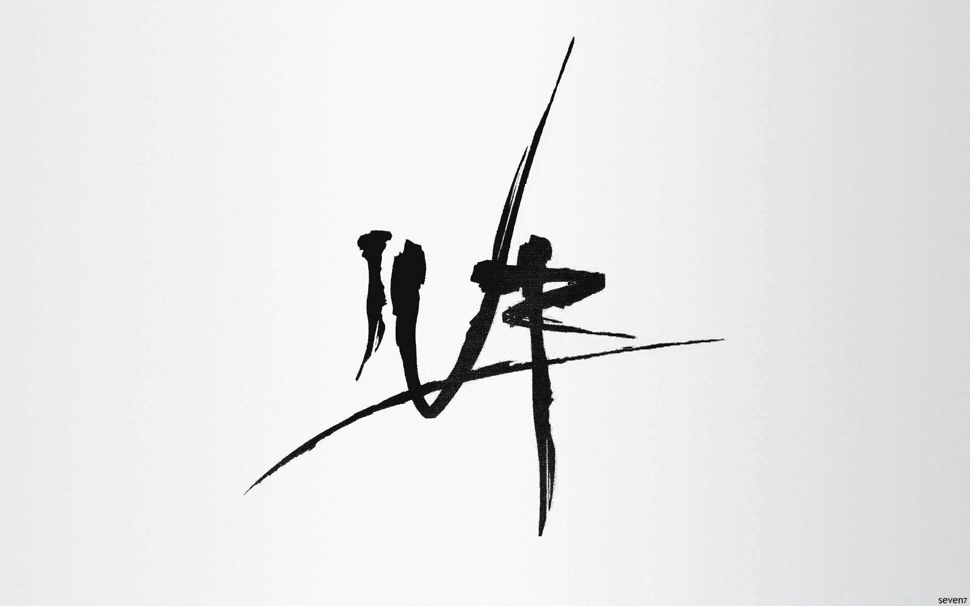 白色 单色 无脊椎动物 飞行 昆虫 鸟类