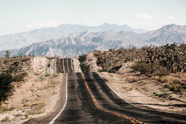 风景。 山间公路