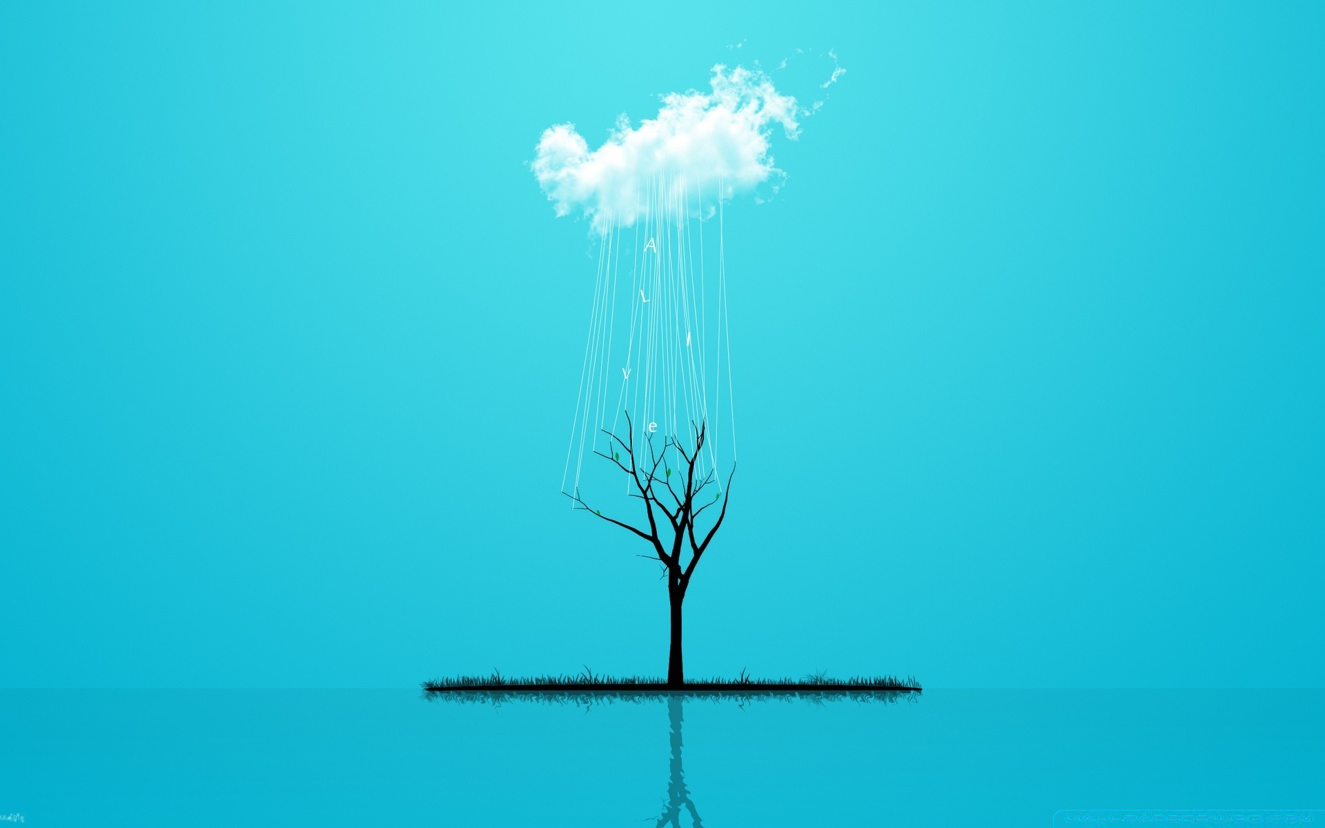 创意 自然 天空 水 桌面