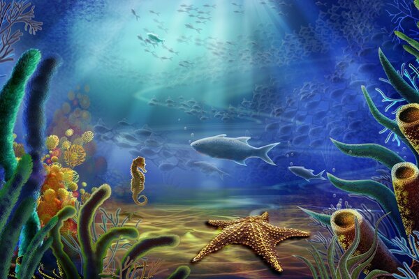 海底，海洋生物，海洋珊瑚礁