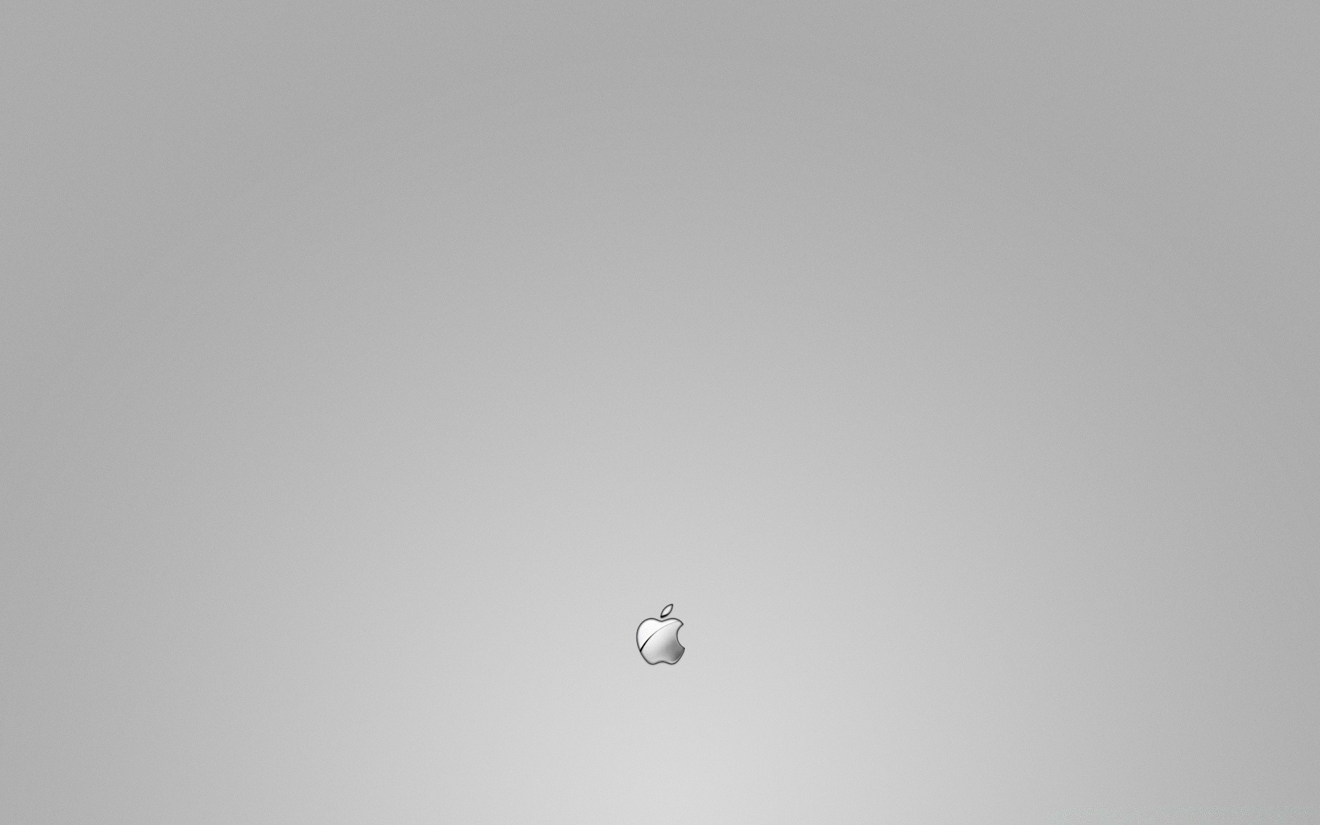 mac 鸟 天空 飞行 抽象 景观 光 单色 月亮 模糊