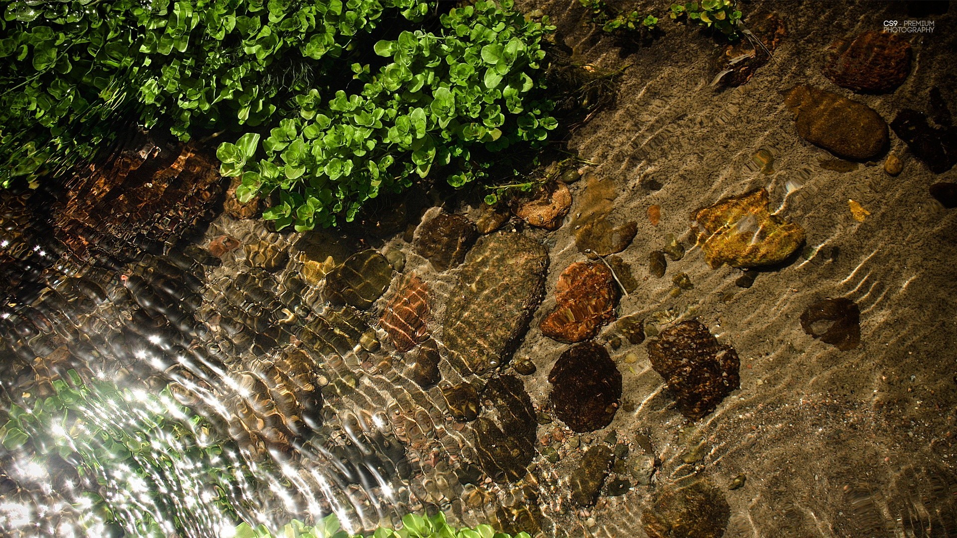 水滴和水 自然 水 石头 岩石 桌面