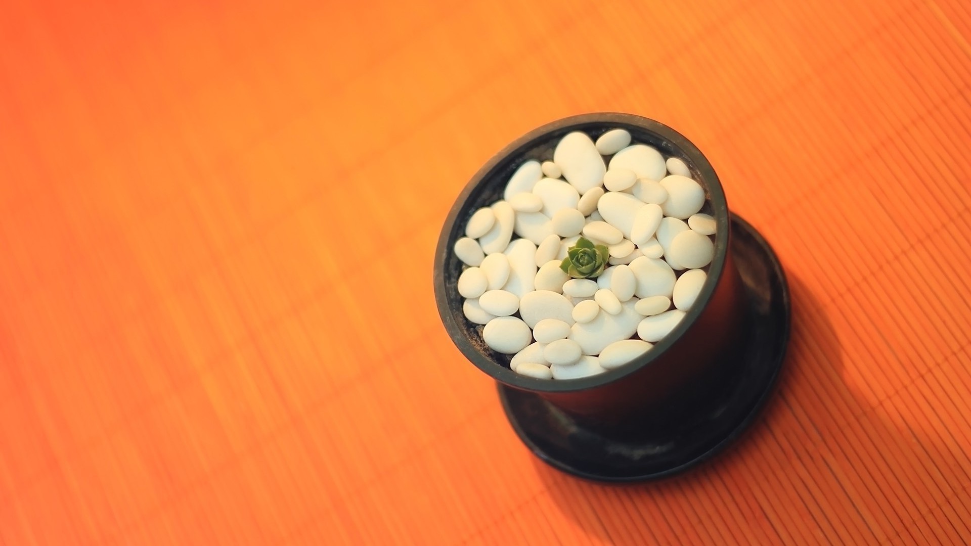 食品 药品 桌面 健康 碗 木材 静物 健康