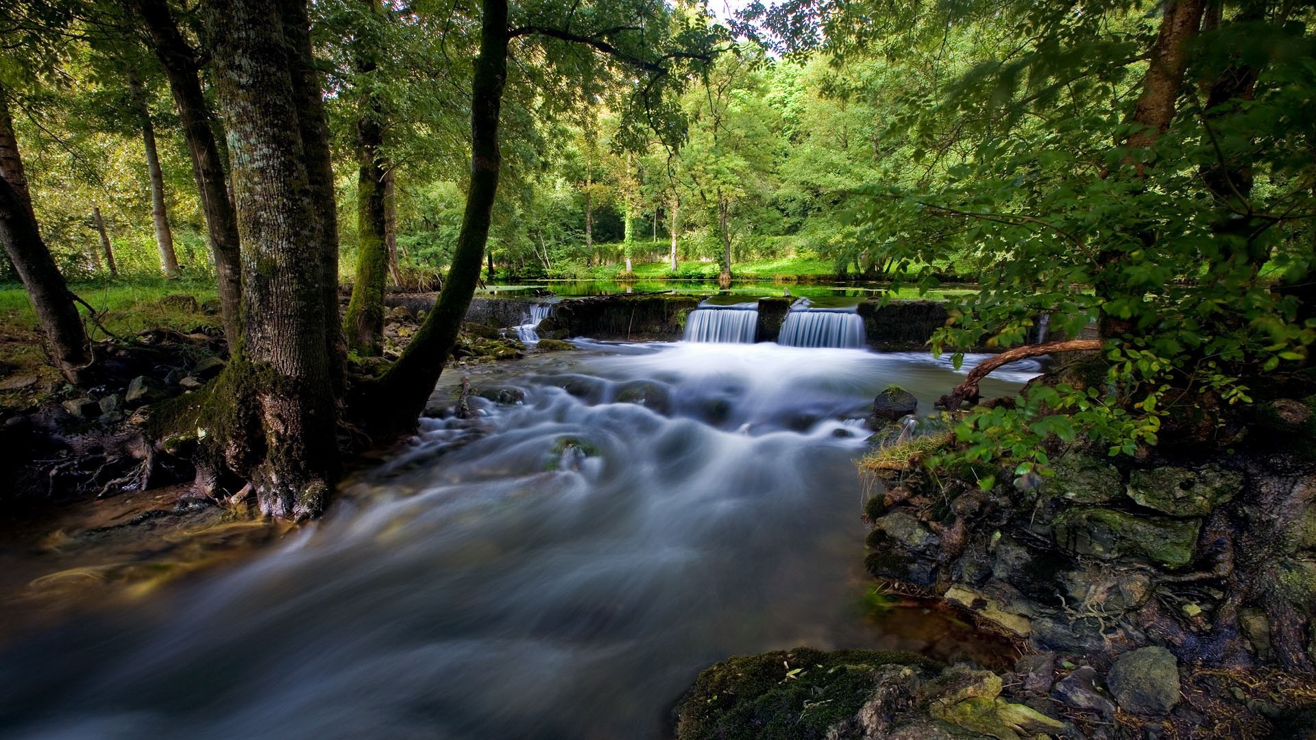 瀑布 水 河 木头 瀑布 流 自然 秋天 叶子 景观 溪 树 苔藓 室外 cascade 公园 急流 湿 岩石 摄影