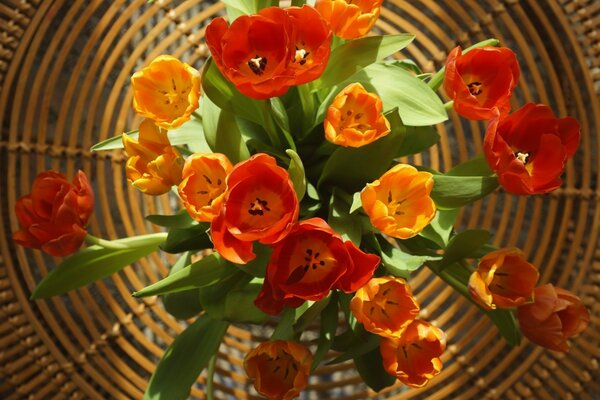 3月8日的美丽花束