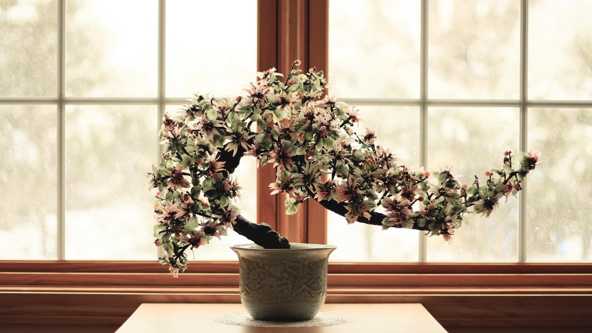 树上的花 窗户 锅 花 室内 房子 室内植物 花瓶 植物 锅 家具 花园 装饰品 天井 室内设计 房间 家庭 叶子 玻璃 播种机