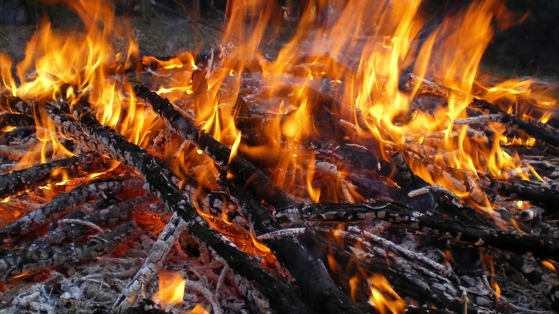 火焰 篝火 篝火 热 煤 壁炉 燃烧 煤 木柴 灰 热 地狱 热 烟 火焰 易燃 点燃 火 温度 营