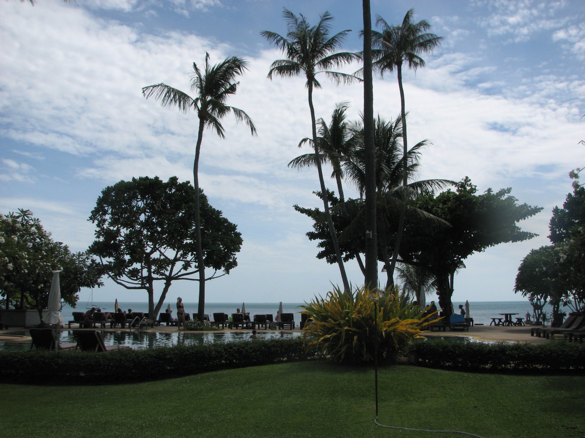 树 棕榈 度假村 度假 旅游 热带 度假 酒店 度假 水 日光 岛屿 海滩 旅游 海 户外 天空 豪华 公园