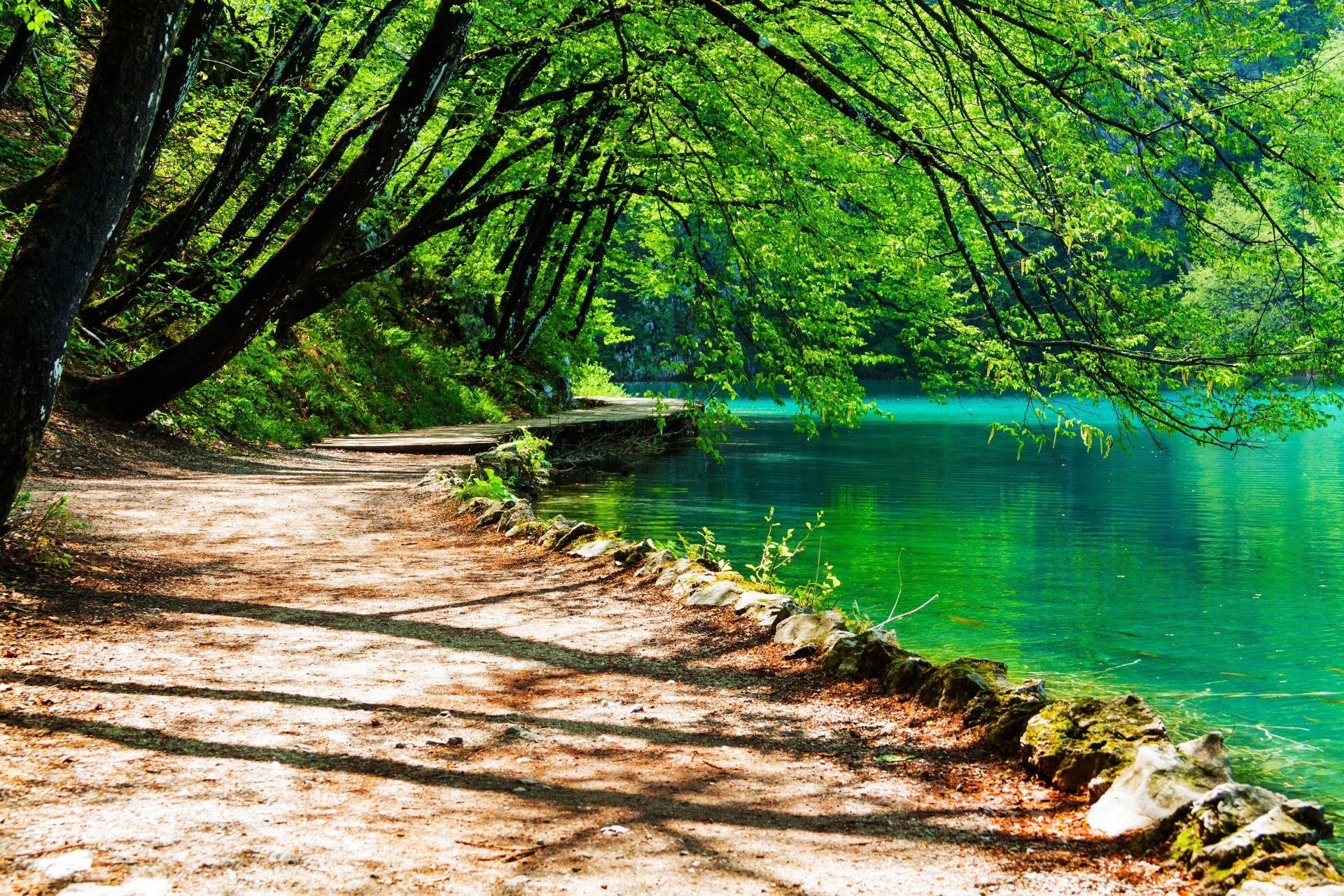 木材 自然 水 树 景观 叶 夏天 户外 风景 好天气 公园 季节 旅游 风景 凉爽 阳光 郁郁葱葱 场景