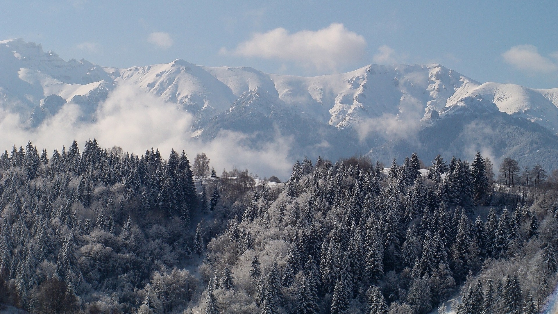 雪 山 冬天 旅行 冰 木材 景观 冷 天空 户外 雾 自然
