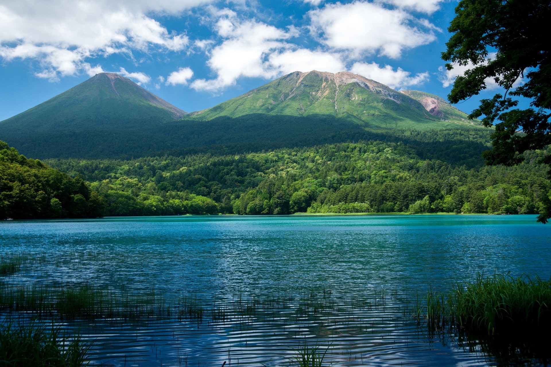 水 湖 自然 旅游 山 景观 户外 反射 天空 树 夏天 风景 木材