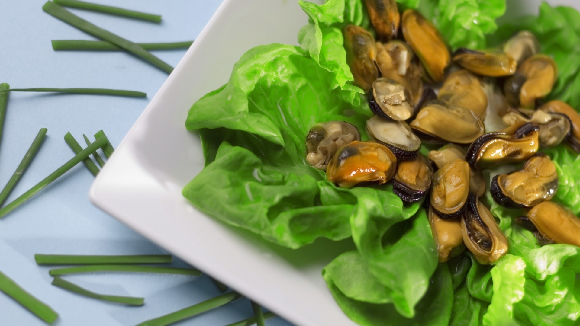 食物 健康 蔬菜 营养 美食 叶 烹饪 健康 饮食 沙拉 营养 晚餐 特写 菜 午餐 美味 美食家 桌面 美味