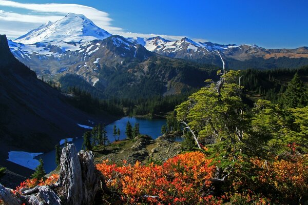从上面看山、森林、湖的美丽景色