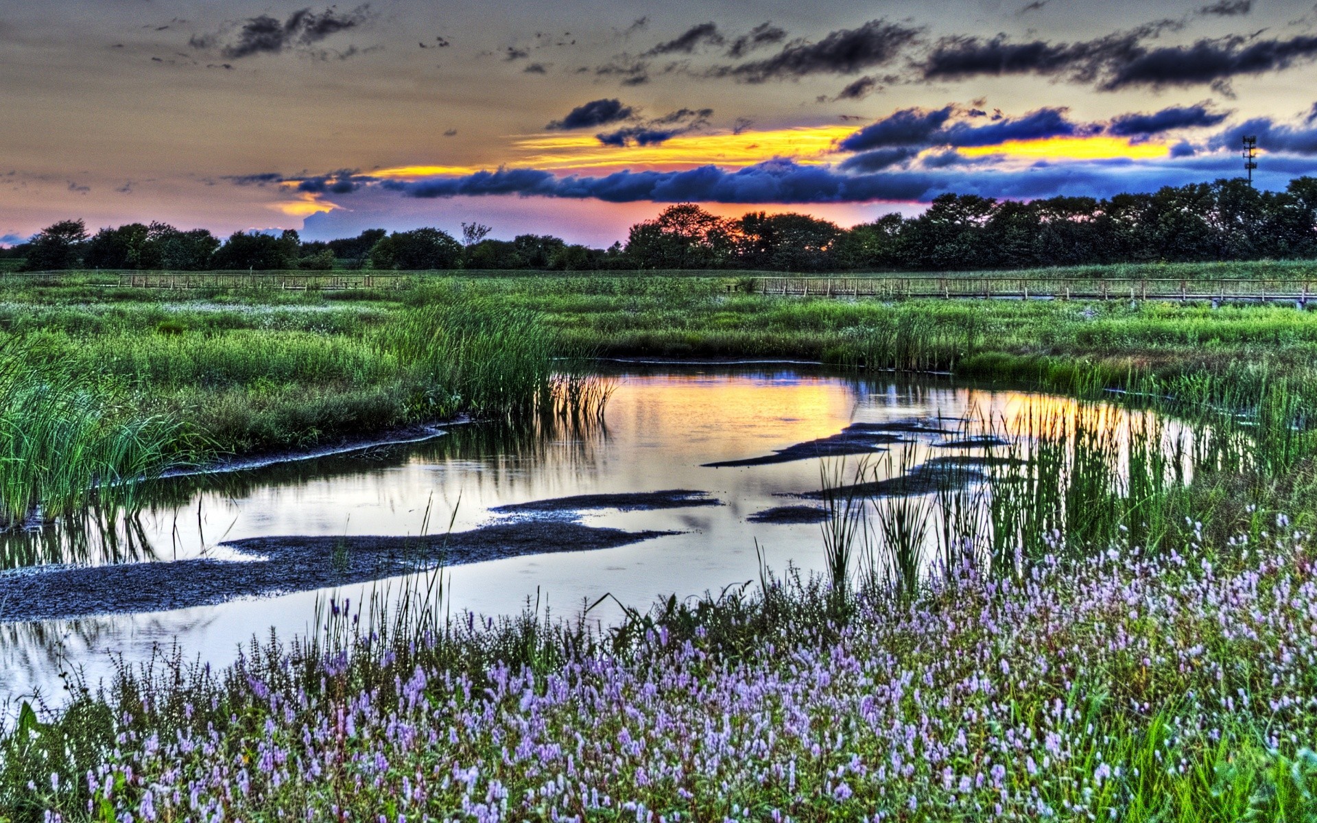 美国 自然 水 景观 湖 倒影 农村 风景 夏天 草 天空 户外 河流 领域 黎明 季节 干草 游泳池 风景 农村