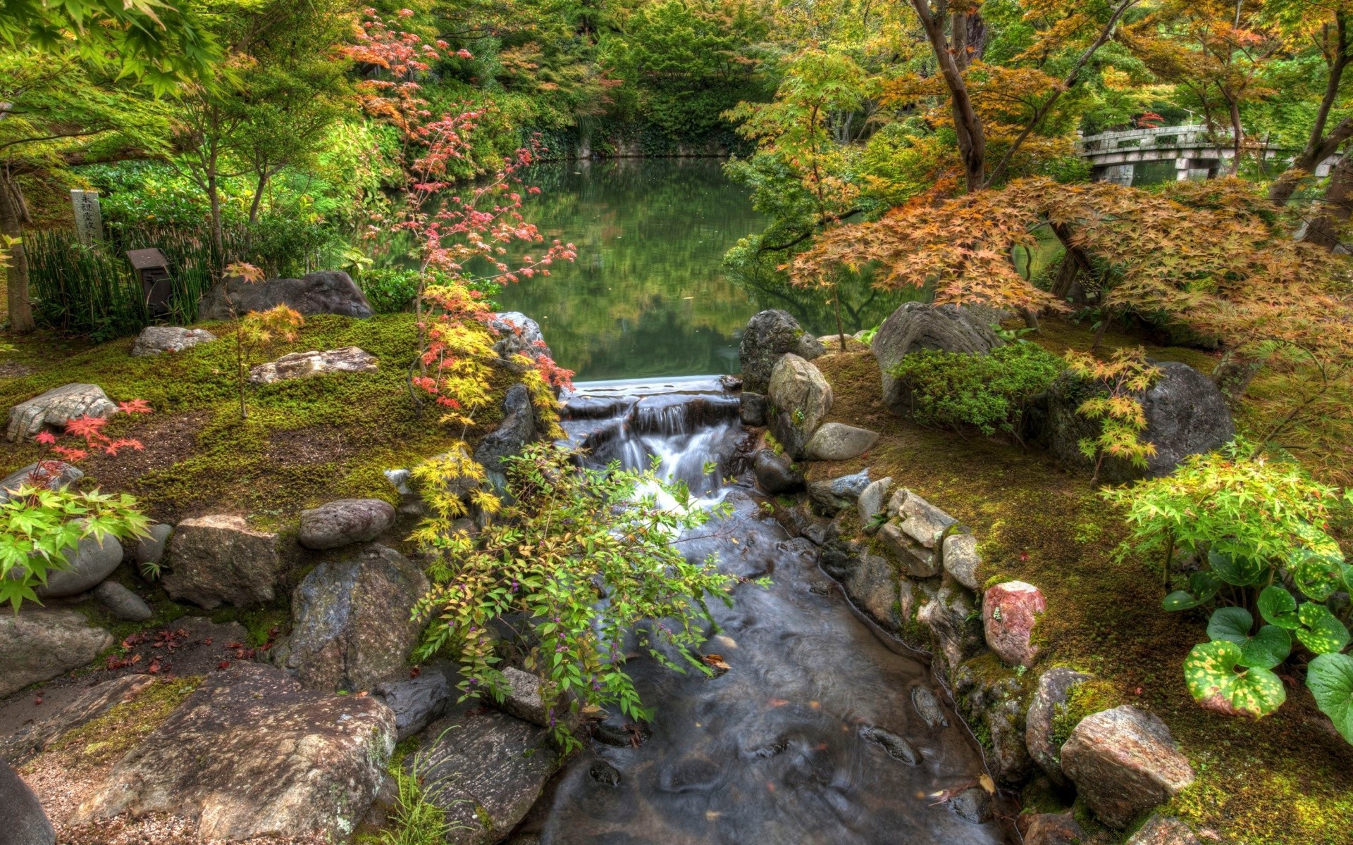 亚洲 水 自然 石头 流 叶 河 岩石 秋天 木材 景观 树 户外 公园 花园 旅游 瀑布 夏天 溪 流
